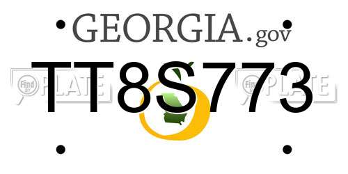 TT8S773 Georgia License Plate