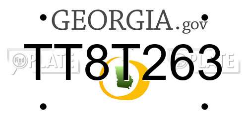 TT8T263 Georgia License Plate
