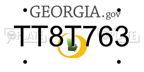TT8T763 Georgia License Plate
