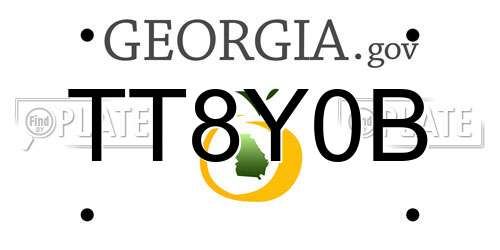 TT8Y0B Georgia License Plate