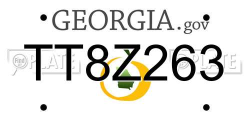 TT8Z263 Georgia License Plate