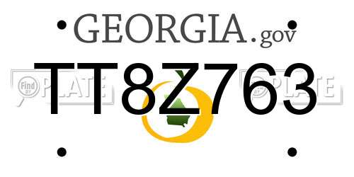 TT8Z763 Georgia License Plate