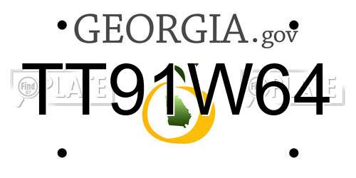 TT91W64 Georgia License Plate