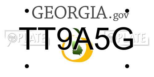 TT9A5G Georgia License Plate