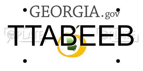 TTABEEB Georgia License Plate