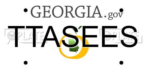 TTASEES Georgia License Plate