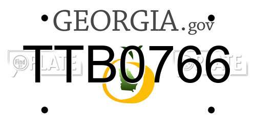 TTB0766 Georgia License Plate
