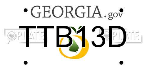 TTB13D Georgia License Plate