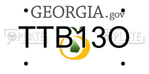 TTB13O Georgia License Plate