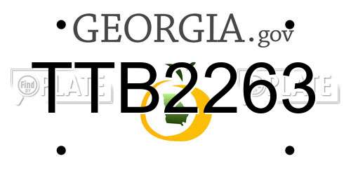 TTB2263 Georgia License Plate