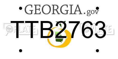 TTB2763 Georgia License Plate