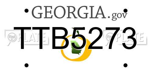 TTB5273 Georgia License Plate
