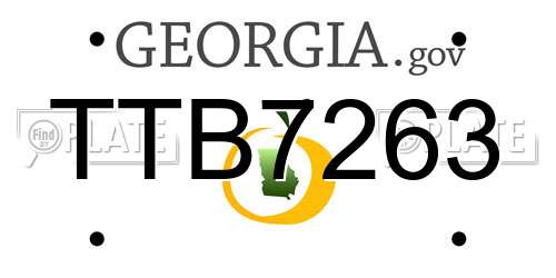 TTB7263 Georgia License Plate