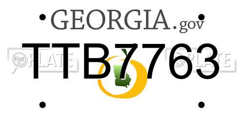 TTB7763 Georgia License Plate