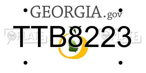 TTB8223 Georgia License Plate