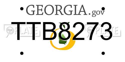 TTB8273 Georgia License Plate
