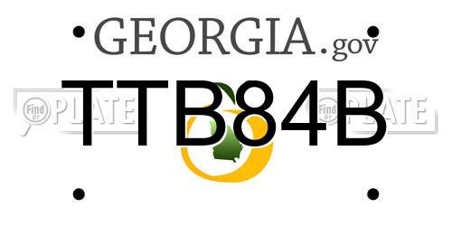 TTB84B Georgia License Plate