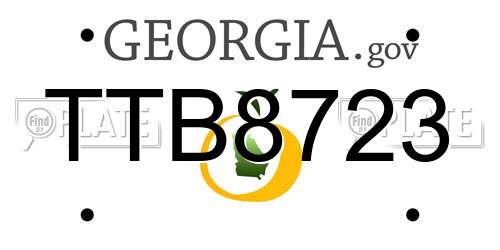 TTB8723 Georgia License Plate