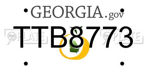 TTB8773 Georgia License Plate
