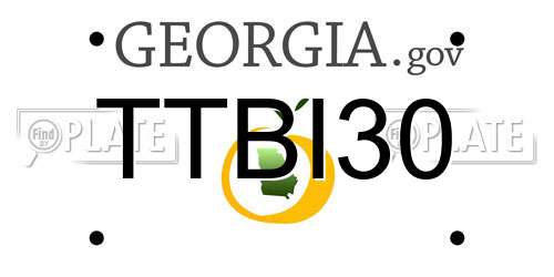 TTBI30 Georgia License Plate