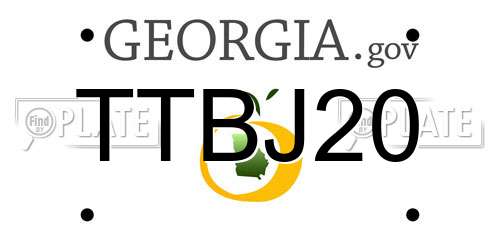 TTBJ20 Georgia License Plate
