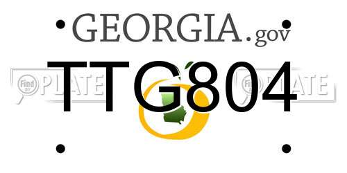 TTG804 Georgia License Plate
