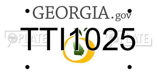 TTI1025 Georgia License Plate