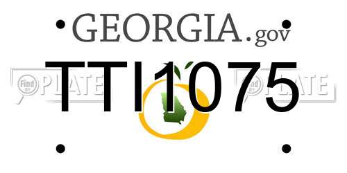 TTI1075 Georgia License Plate