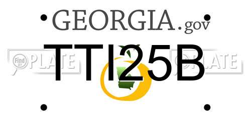 TTI25B Georgia License Plate