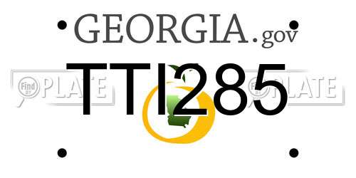 TTI285 Georgia License Plate