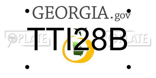 TTI28B Georgia License Plate