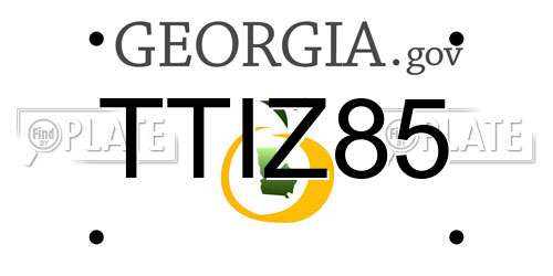 TTIZ85 Georgia License Plate