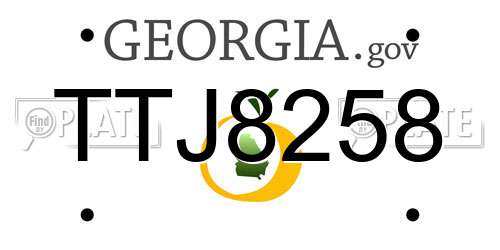 TTJ8258 Georgia License Plate