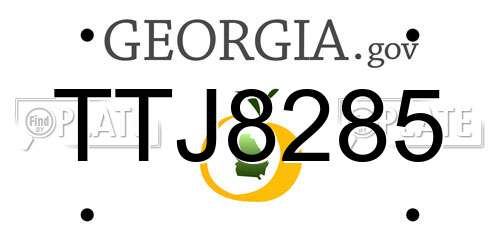 TTJ8285 Georgia License Plate