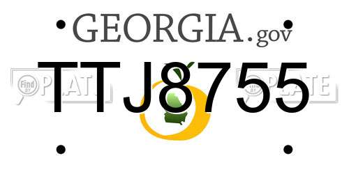 TTJ8755 Georgia License Plate