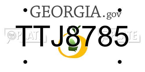 TTJ8785 Georgia License Plate