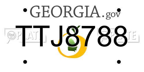 TTJ8788 Georgia License Plate