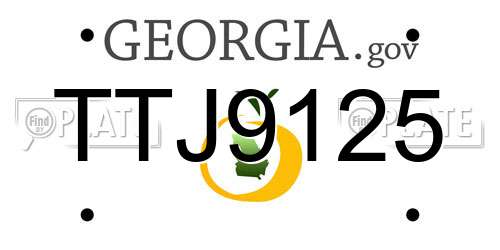 TTJ9125 Georgia License Plate