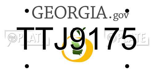 TTJ9175 Georgia License Plate
