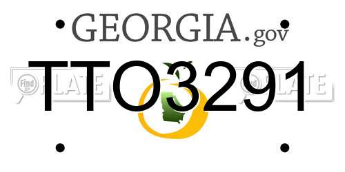 TTO3291 Georgia License Plate