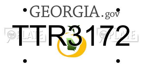 TTR3172 Georgia License Plate