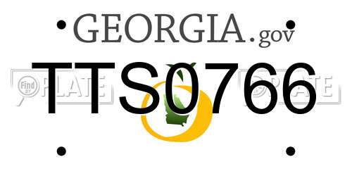 TTS0766 Georgia License Plate