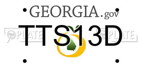 TTS13D Georgia License Plate