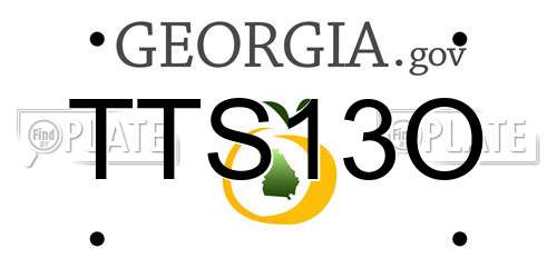 TTS13O Georgia License Plate