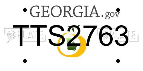 TTS2763 Georgia License Plate