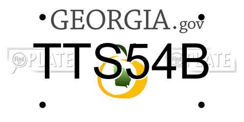 TTS54B Georgia License Plate