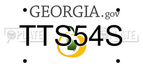 TTS54S Georgia License Plate