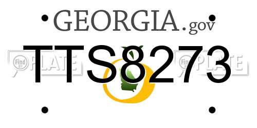 TTS8273 Georgia License Plate