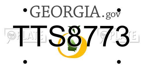TTS8773 Georgia License Plate