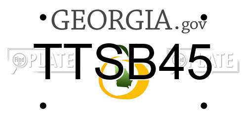 TTSB45 Georgia License Plate